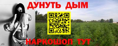 эйфоретик Малгобек
