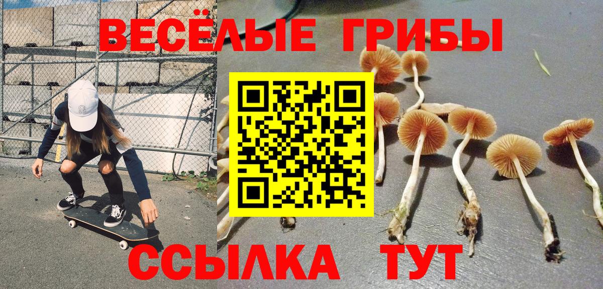 Галлюциногенные грибы Psilocybine cubensis  Вход с VPN  Ялта 